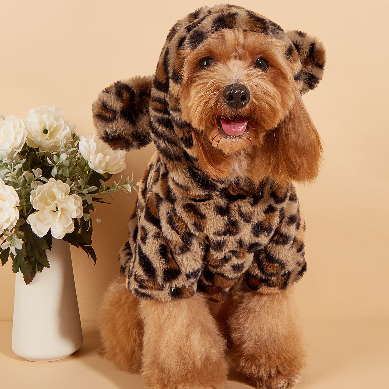 Winter Clothes - Pet Hoodie For Small & Medium