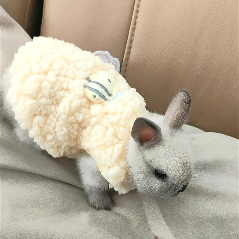 Winter Warm Bunny Rabbit Sweat - Winter Clothing Newborn review and price