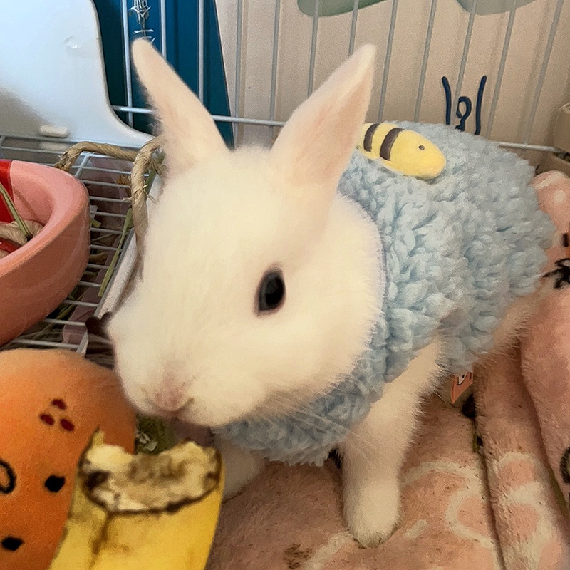 Winter Warm Bunny Rabbit Sweat - Winter Clothing Newborn review and price