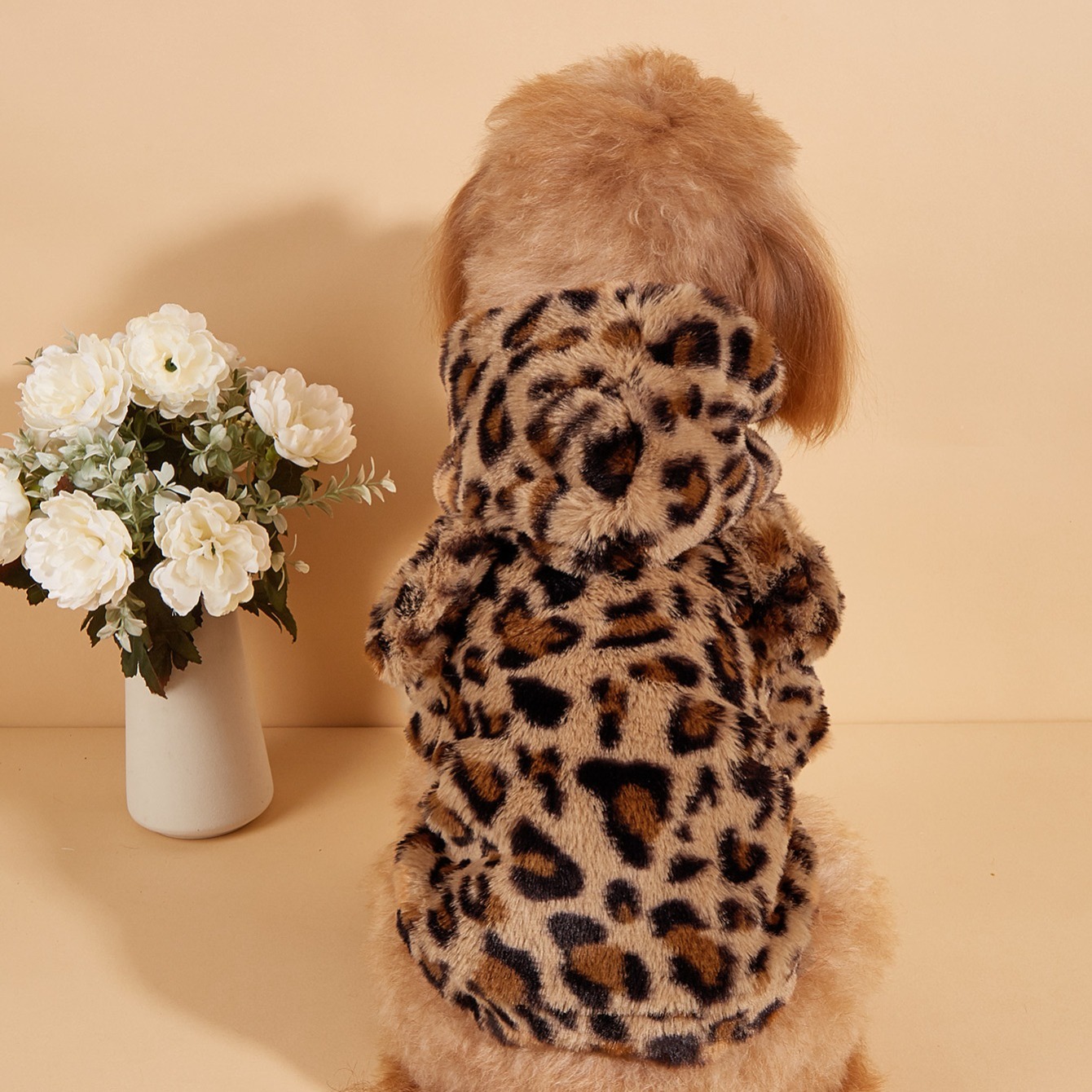 Pet Hoodie For Small & Medium  - Winter Clothes review and price